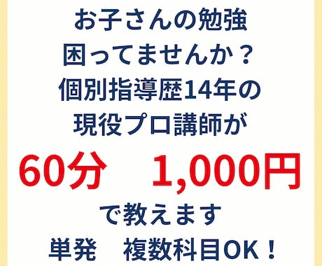 1問からOK!指導歴14年の現役プロ講師が教えます イメージ1