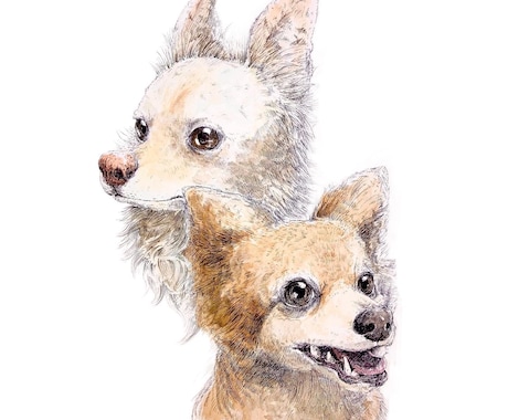 あなたの相棒を描きます 類は関係無し！あなたの家族を絵に残しませんか？ イメージ2