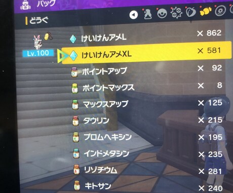 ポケモンの厳選と育成代行します 2体セット【ポケモン厳選・育成代行　ポケモンSV・剣盾】 イメージ2