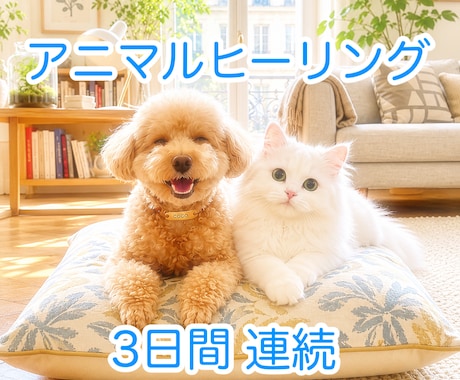 3日間⭐︎ペットちゃんへアニマルヒーリングします 浄化と癒しをお届け⭐︎一言メッセージ付き イメージ1