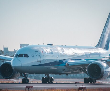 2枚から航空機の写真を提供します JAL、ANAなど飛行機の写真が必要な方へ イメージ1