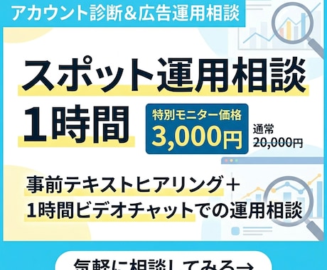 現役プロがWeb広告の単発診断・運用相談のります 歴7年のプロが事業主視点で売上に直結する改善提案 イメージ1