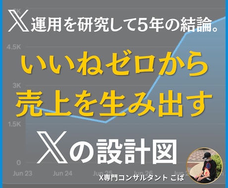 X運用代行前に売上につながるアカウントへ改善します X研究5年の結論｜いいねゼロから売上を生むXアカウント設計 イメージ1