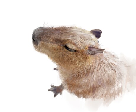 かわいいペットや動物のリアルイラストを描きます プレゼントやお部屋のインテリアにいかがでしょうか？ イメージ2