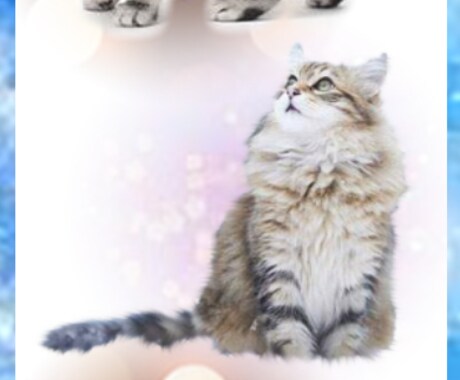 この世に1つだけ愛猫・愛犬のスマホ壁紙お作りします 愛猫・愛犬を形にした唯一無二の壁紙です。 イメージ2