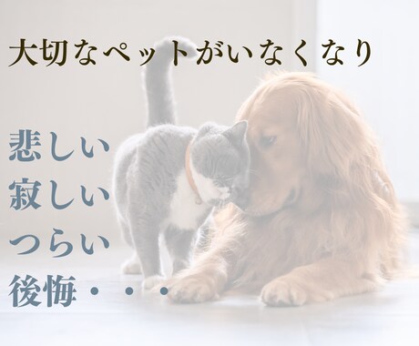 ペットロス専門☆愛するペットのお話、すべて聴きます ペットロス経験者・現役カウンセラーの私が、すべて受け入れます イメージ2