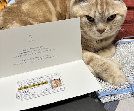 デジタル名刺プレーリーカードでも対応します デジタル名刺プレーリーカードを、うちの子免許証でデザイン！ イメージ2