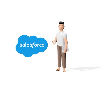 セールスフォース関連のコンサルティングします Salesforceの開発5年+運用経験3年のベテランSE イメージ1