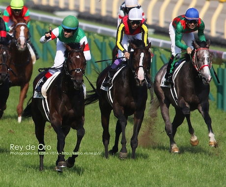 福島競馬・究極の馬券術教えます 福島競馬で低投資・高配当を望まれる方必見!! イメージ1
