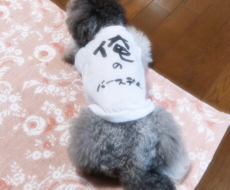 俺のバースディTシャツつくります 文字変更もOK☆可愛い誕生日ペットグッズ イメージ2