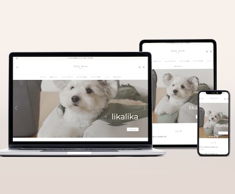 ShopifyエキスパートがECサイトを作ります 【丁寧・高品質】Shopify制作をします イメージ2