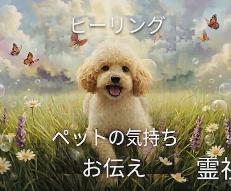 ペットの魂へアクセス。霊視します 本当はどう思ってる？言葉にならない気持ちを霊視・ヒーリング イメージ1
