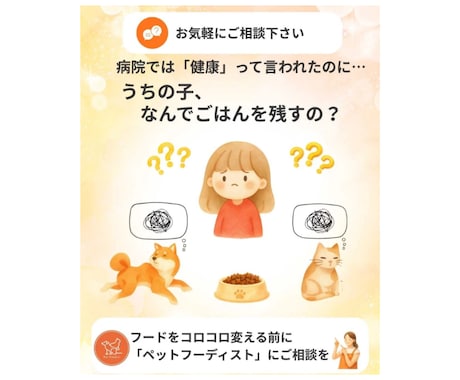 有資格者|愛猫のごはん食べない問題解決します 元ペットショップ店員×ペットフーディストが個別アドバイス！ イメージ2