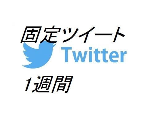 効果抜群❢❢Twitterの固定ツイートを行います Twitter主要アカウントにて1週間❢早い者勝ちです！！！ イメージ1