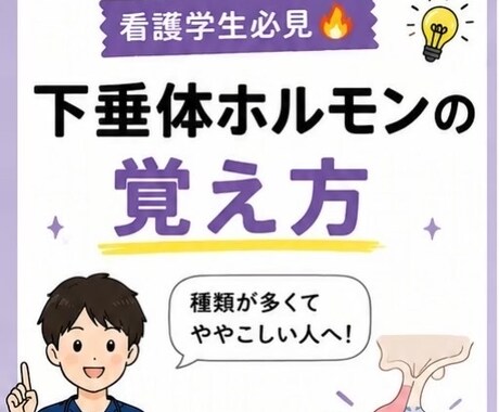 看護学生向けホルモンを覚えられる資料を作成します 解剖生理が苦手な方へ！分泌部位や作用、覚え方をまとめます イメージ1