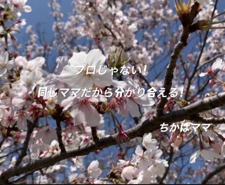心配なこと、不安なことなんでも聞きます プロじゃないママ同士だから気持ちが分かる‼︎ イメージ1