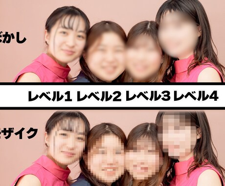動画にぼかし・モザイクかけます 短い動画から長い動画まで加工します♪ イメージ1