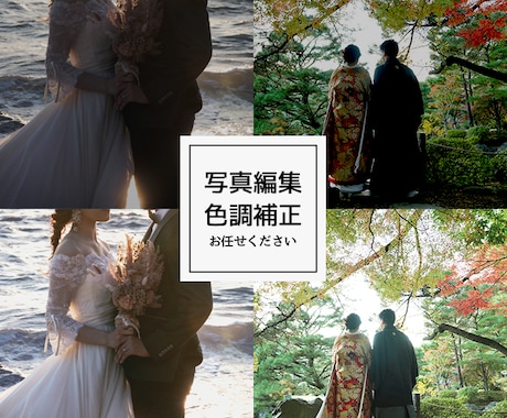 オープニングムービー | ボタニカル 制作します FLORAL BOTANICAL | DVD無料 イメージ2