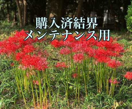 購入済の結界のメンテナンスをします 結界の状態の確認、メンテナンスを行います イメージ1