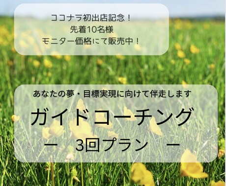 夢実現・目標達成に向けてのメンタルサポートをします イメージ1