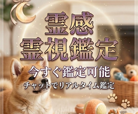 現在対応可能｜20分間｜霊感・霊視鑑定します 【即レス】リアルタイムで霊視鑑定 イメージ1