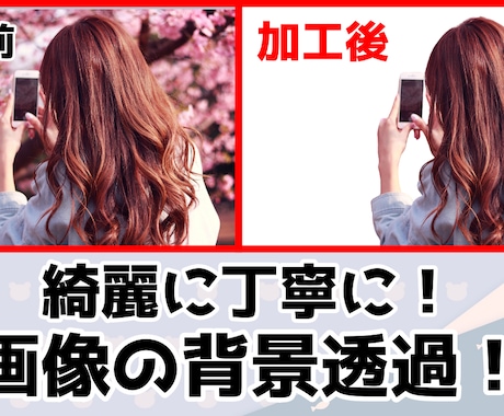 画像・写真の背景透過、白抜きを早く仕上げます 高品質で早く丁寧にさせて頂きます！ イメージ2