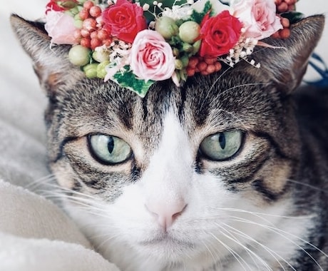 ペットちゃん♡の花かんむり作ります バースデーや記念日、お花見での写真撮影に、兎、猫、犬、小動物 イメージ1