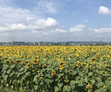 あなたの気持ちに寄り添います あなたのお気持ち、半分こさせてください。 イメージ1