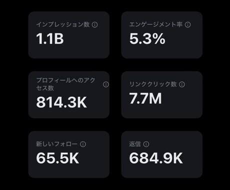 インスタの日本人フォロワー+100人増やします 最安に挑戦。月1億PVのインフルエンサーが提供 イメージ2