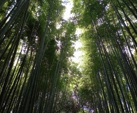 人間関係、介護、などお話を聴かせていただきます ２人の子育て、親の介護を経験している60代主婦。 イメージ1
