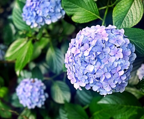 6月の運気を占います 近付いてくる6月に備えましょう♪♪♪ イメージ1