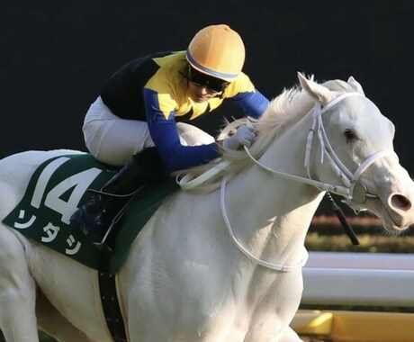 本物の競馬予想教えます ※週末重賞レースにて【人気関係なく】期待出来る馬を教えます。 イメージ1