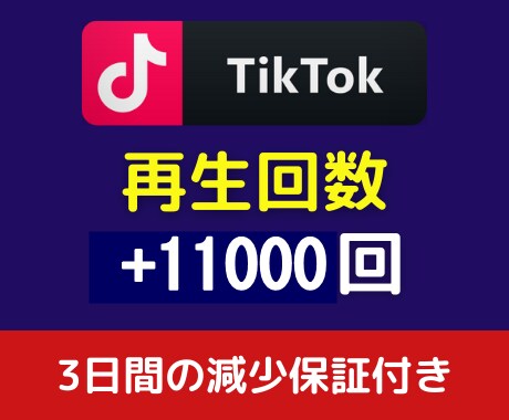 TikTok再生回数＋11000回～宣伝拡散します 【減少保証付あり】先着5名限定で格安でご提供中 イメージ1
