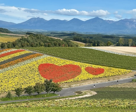 ７月迄お試し価格★北海道観光★１週間チャットします 広すぎる北海道をどうまわる？ドライブ狂いの北海道民が承ります イメージ2