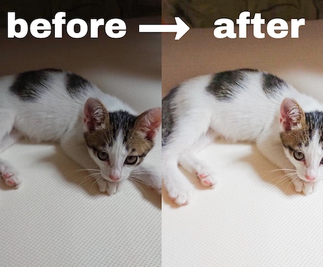 あなたの大切な写真を、さらに綺麗にします 人、動物、風景などの写真加工。大切な写真をより良いものに＊ イメージ1