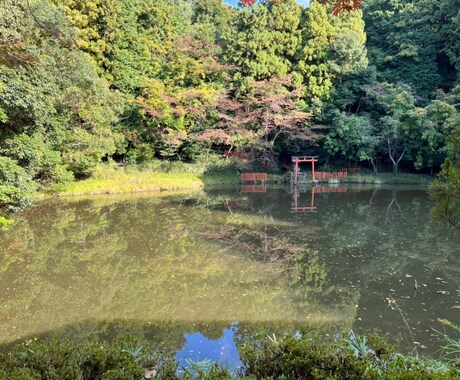 タロットカードであなたの潜在意識を引き出します 恋愛・仕事等　納得の選択をできるようお手伝いいたします！！！ イメージ1