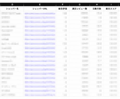 BUYMAショッパーTOP100データ提供します 月次更新のショッパーランキングデータを1回分ご提供します イメージ2
