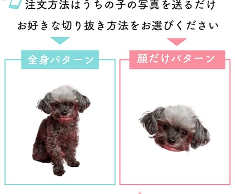 うちの子タンブラーを制作します ペットの写真で作る、世界にひとつだけのサーモタンブラー イメージ2