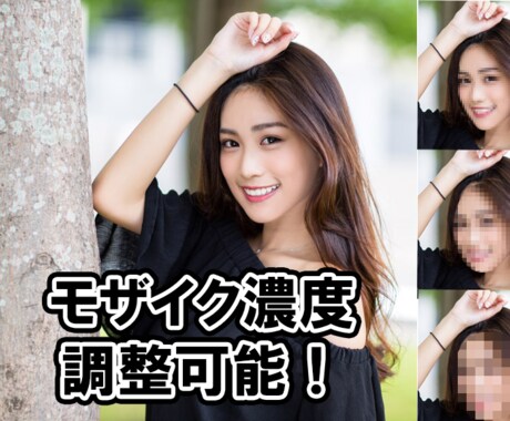 格安価格でめんどうな動画のモザイク処理をします 大人向けサービスからYouTubeまで経験あり！ イメージ2