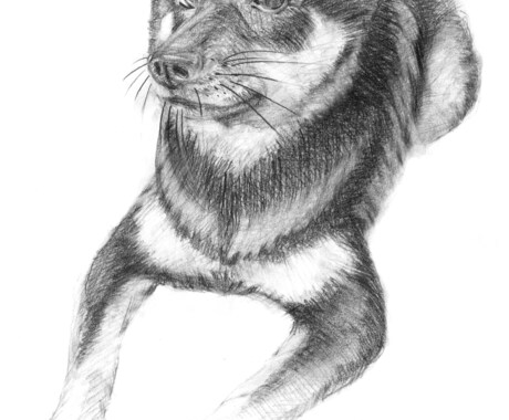 手描きの温かいタッチを心がけています デザイン科卒業で、デッサンを学んでいます イメージ2