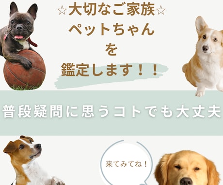 大切なペットの鑑定を霊感霊視霊聴でみます 純度の高い力☆国に書物が残る霊感霊視家系の力でみます イメージ1