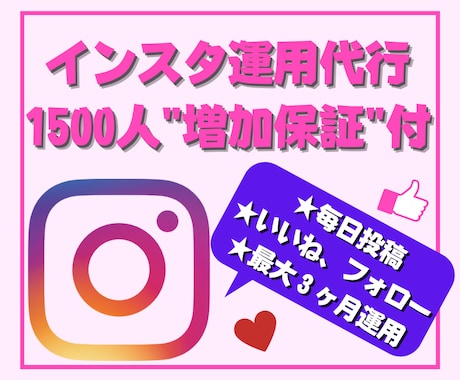 instagram30日間運用代行保証します 【最大1500人増加保証付】効果抜群！インスタグラム運用 イメージ1