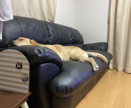 優しく心に寄り添い気持ちを共有します ニコ生でも相談放送何年もしてました！実績はあります。 イメージ2