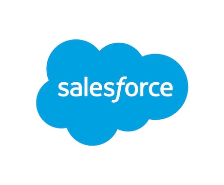 Salesforceの運用をサポートします 費用抑えてSalesforceを有効活用！ イメージ1