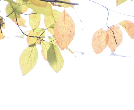 私のことどう思ってる？彼の本心とこれからを視ます “会いたい”が言えない夜、彼の本音はどこにあるの？ イメージ1