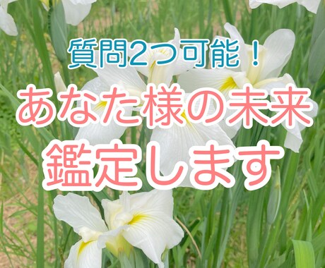 質問2つ♡最良のご選択の一助に！未来鑑定します 安心価格♡無限の可能性を掴み取る！選択や挑戦の参考に⭐︎ イメージ1