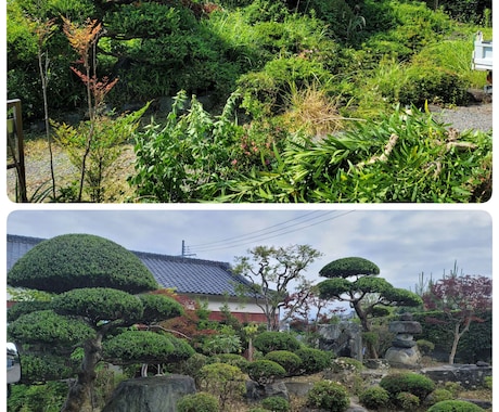 空き家などの所有地の剪定・草刈り・伐採します 現役の植木屋が相談に乗ります。 イメージ1
