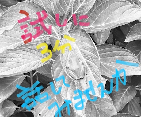 ただただ愚痴やお話し聞いて欲しい方お聞きします 聞いてもらう事で整理が出来る事もあるのでそんな時にどうぞ イメージ2