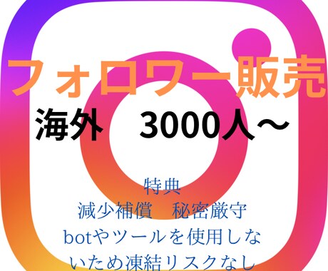 Instagram 海外フォロワーを増加させます Instagramを宣伝します 海外フォロワー3000人〜 イメージ1