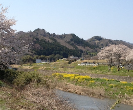 ノウハウコレクター脱出させます 「情報商材を買ったのに 稼げない」という悩みを解決しましょう イメージ1